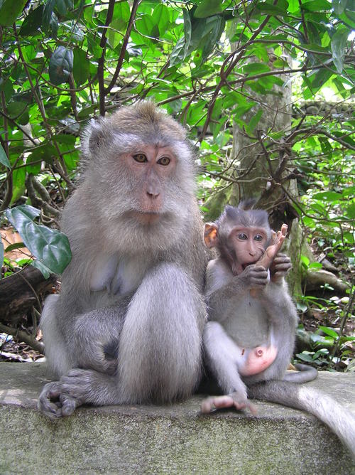 2005_indonesiatrip_207_2
